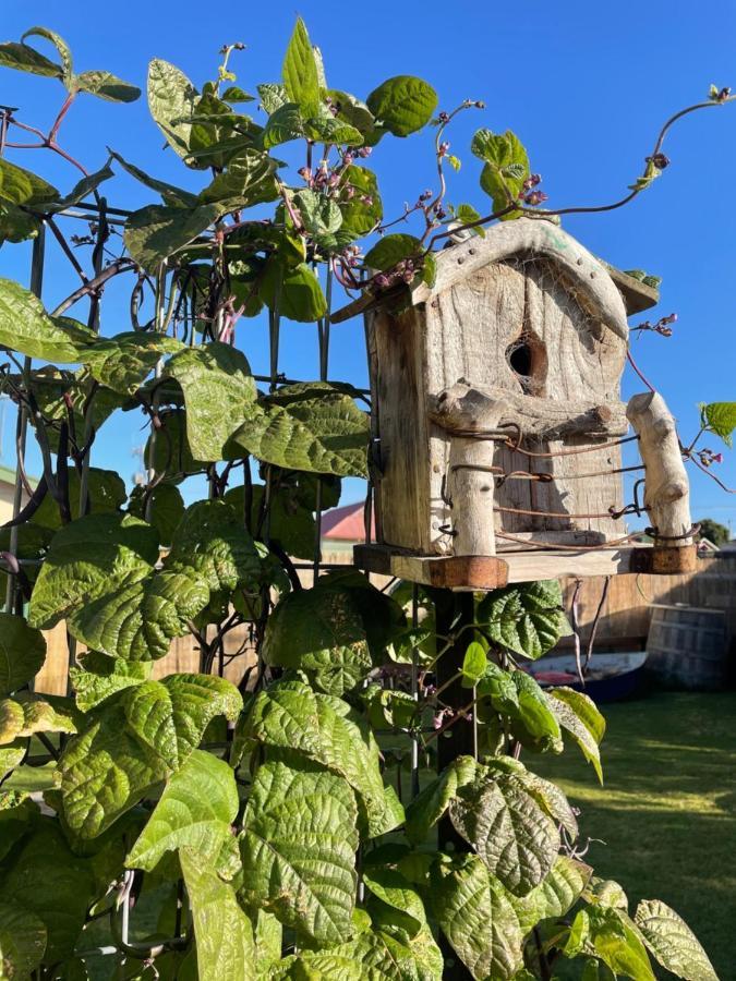 Ki Dragonfly Guesthouse Kingscote Zewnętrze zdjęcie