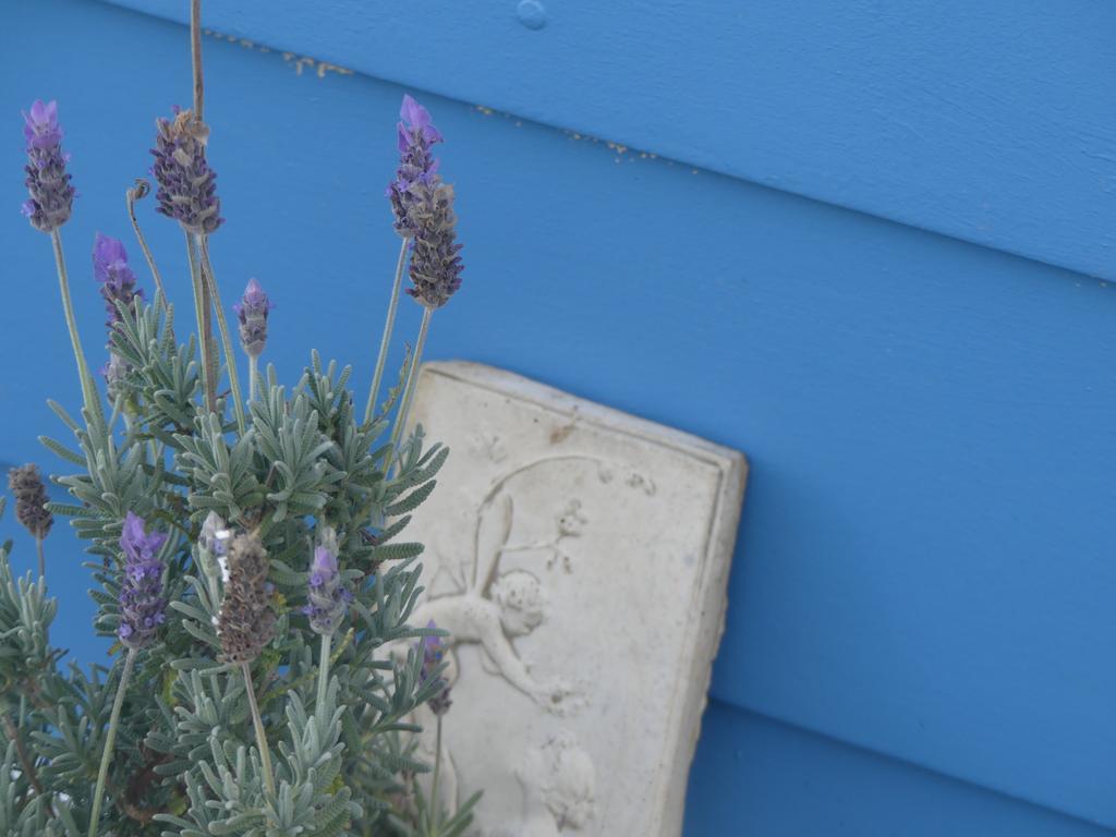 Ki Dragonfly Guesthouse Kingscote Zewnętrze zdjęcie
